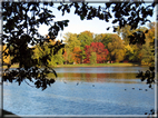 foto Parco Karlsaue in Autunno